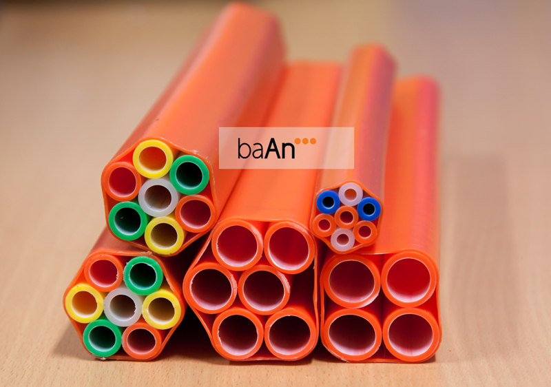 BAAN MICRODUCTS TẠI BÌNH ĐỊNH