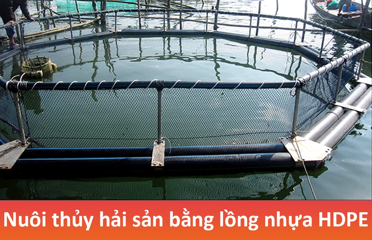 Mô hình ống nhựa HDPE làm lồng bè nuôi cá