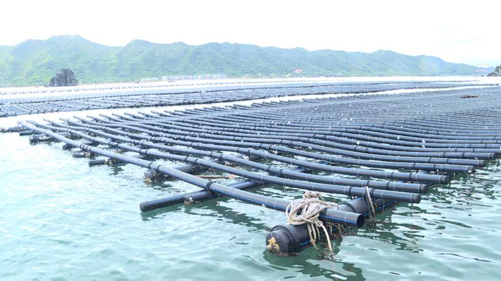 ống nhựa HDPE nuôi trồng thủy sản