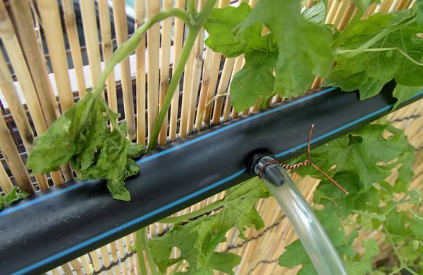 ống nhựa HDPE dùng trong tưới tiêu nông nghiệp ống nhựa HDPE dùng trong tưới tiêu nông nghiệp