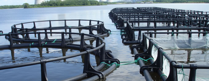 Lồng nuôi HDPE – giải pháp nuôi trồng thủy sản HOT nhất 2023