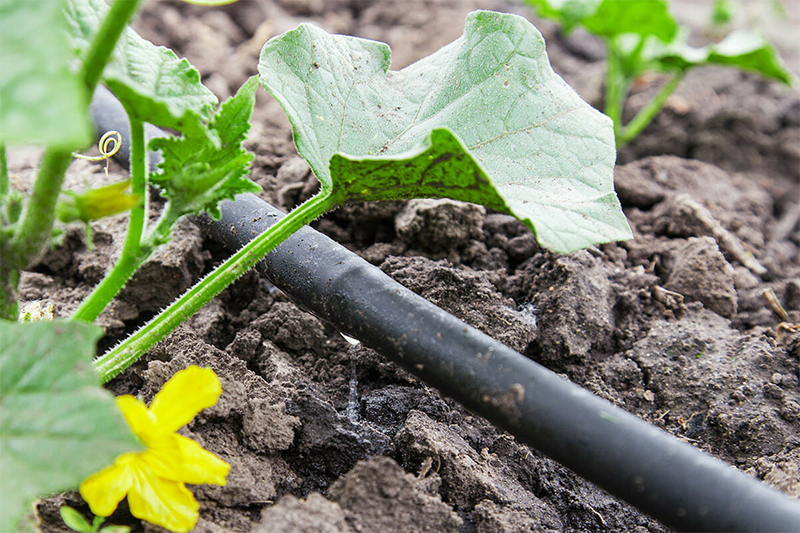 Vì sao nên chọn sản phẩm ống nhựa HDPE vào lĩnh vực nông nghiệp?